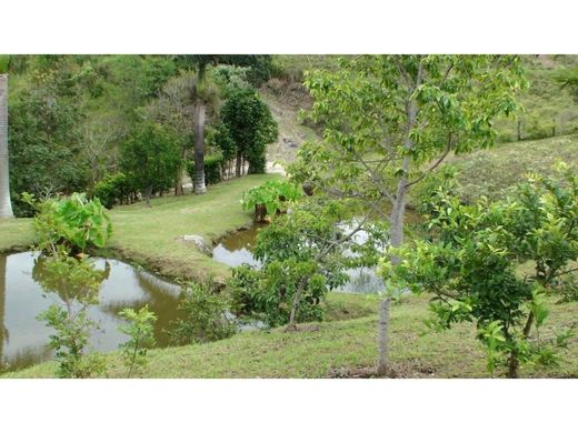 Сельский Дом, Silvania, Departamento de Cundinamarca