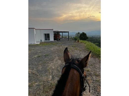 Ρουστίκ ή αγροικία σε Pereira, Departamento de Risaralda