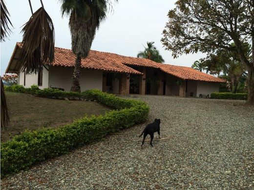 村舍/农舍  Caicedonia, Departamento del Valle del Cauca