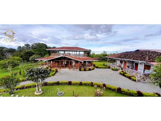 Rustik ya da çiftlik Circasia, Quindío Department