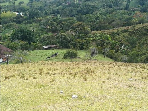 Teren w Barbosa, Departamento de Antioquia