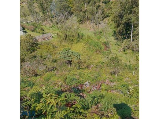 Загородный Дом, San Vicente, San Vicente Ferrer