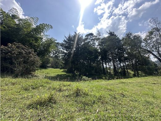 Teren w Rionegro, Departamento de Antioquia