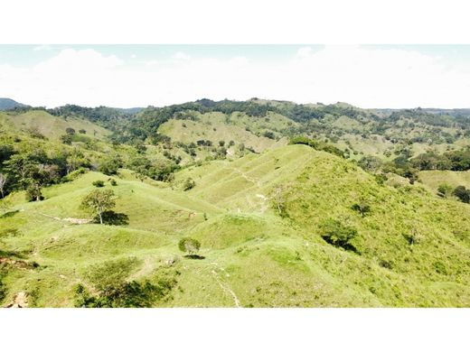 Ρουστίκ ή αγροικία σε Maceo, Departamento de Antioquia