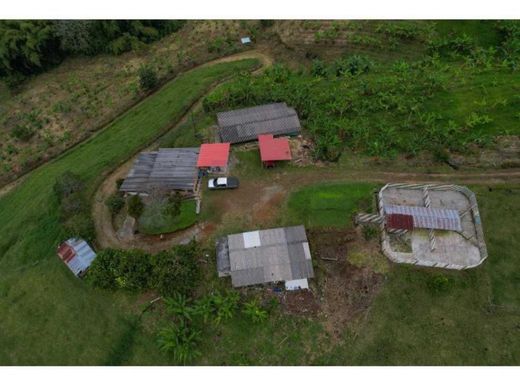 Cortijo o casa de campo en Pereira, Departamento de Risaralda