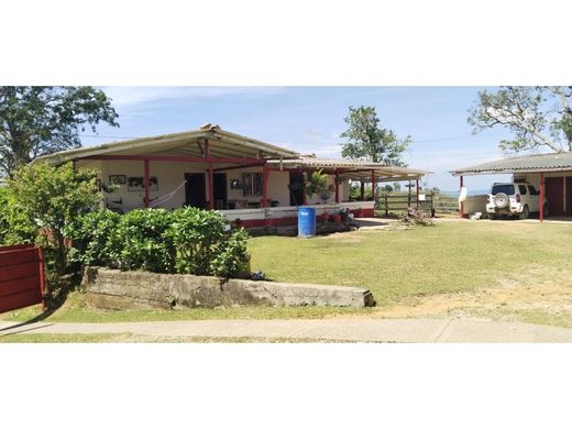 Ferme à Maceo, Departamento de Antioquia
