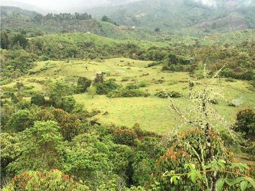 Rustik ya da çiftlik Támesis, Departamento de Antioquia