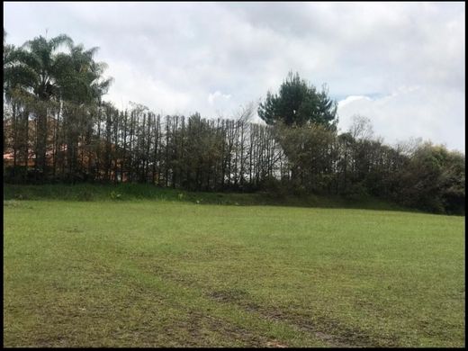 Grundstück in Rionegro, Departamento de Antioquia