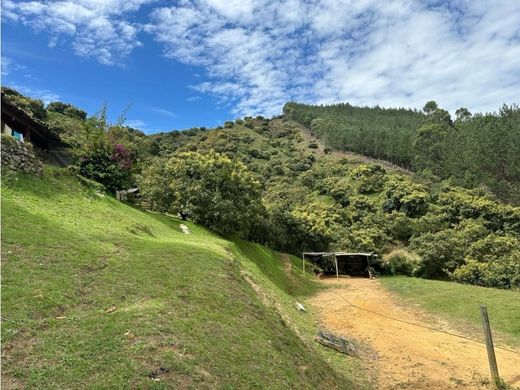 Grundstück in Guarne, Departamento de Antioquia