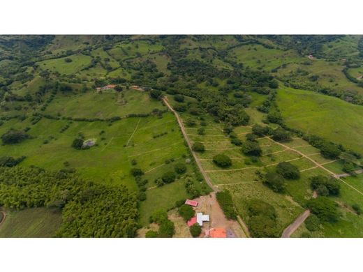 ‏בתים כפריים או חוות ב  Obando, Departamento del Valle del Cauca
