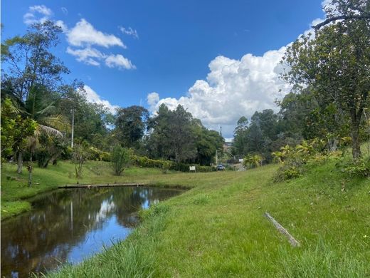 Terreno - Rionegro, Departamento de Antioquia
