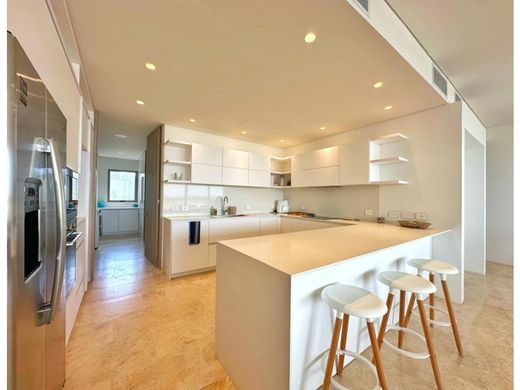 Daire Cartagena, Cartagena de Indias