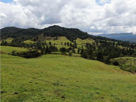 Terreno - Retiro, Departamento de Antioquia