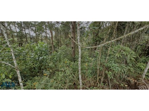 Grundstück in Rionegro, Departamento de Antioquia