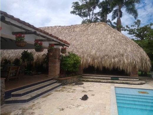 Ferme à Venecia, Departamento de Antioquia