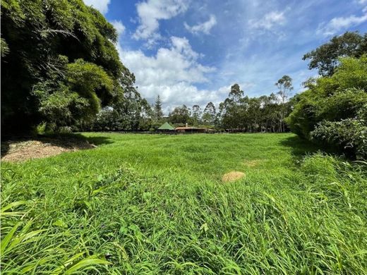 Αγροτεμάχιο σε Rionegro, Departamento de Antioquia