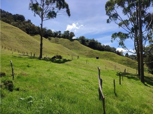 전원/농가 / La Ceja, Departamento de Antioquia