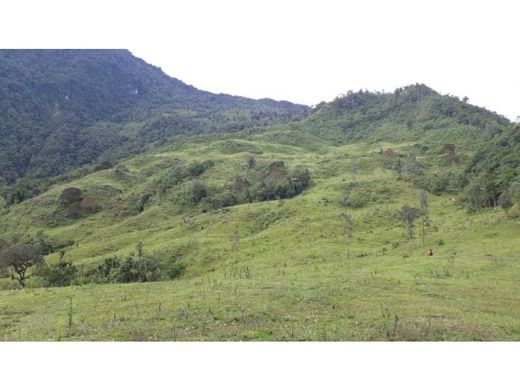 Rustik ya da çiftlik Córdoba, Quindío Department