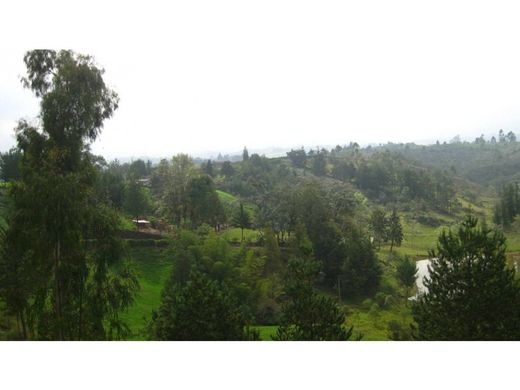 Grundstück in Rionegro, Departamento de Antioquia