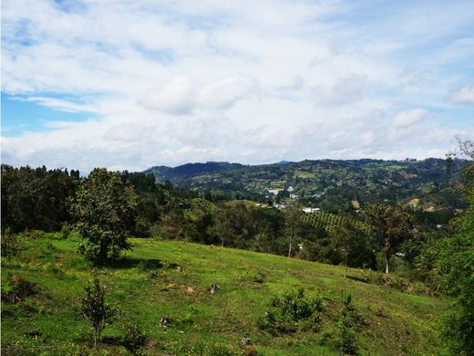 Arsa Guarne, Departamento de Antioquia
