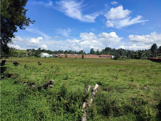 Αγροτεμάχιο σε Rionegro, Departamento de Antioquia