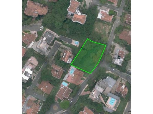 토지 / 메데인, Medellín