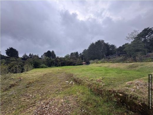 Arsa Envigado, Departamento de Antioquia