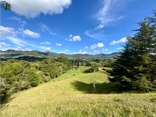 토지 / La Ceja, Departamento de Antioquia