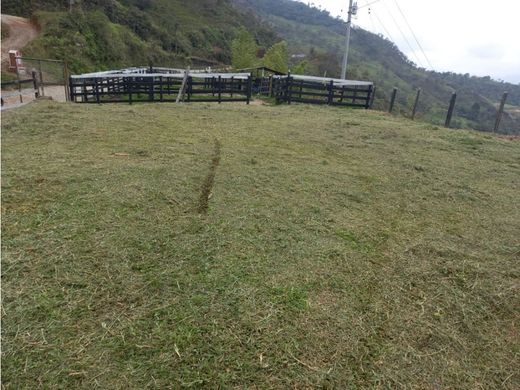 Terreno a Alejandría, Departamento de Antioquia