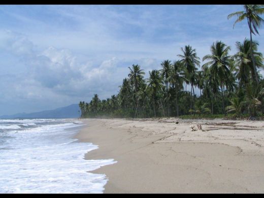 토지 / Santa Marta, Departamento del Magdalena