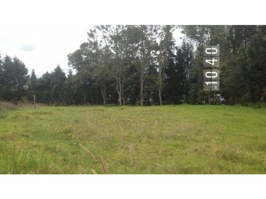 Land in Chía, Cundinamarca