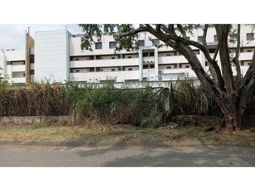 地皮  卡利, Cali