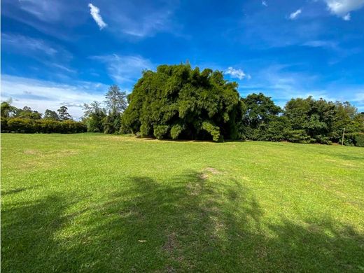 Land in Rionegro, Departamento de Antioquia