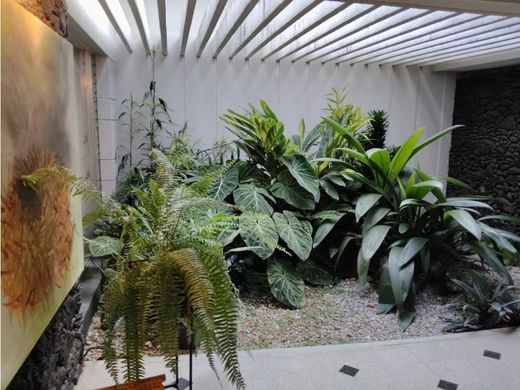 أرض ﻓﻲ ميديلين, Medellín