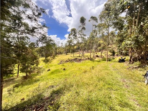 地皮  La Ceja, Departamento de Antioquia