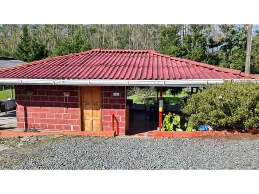Ρουστίκ ή αγροικία σε Pereira, Departamento de Risaralda
