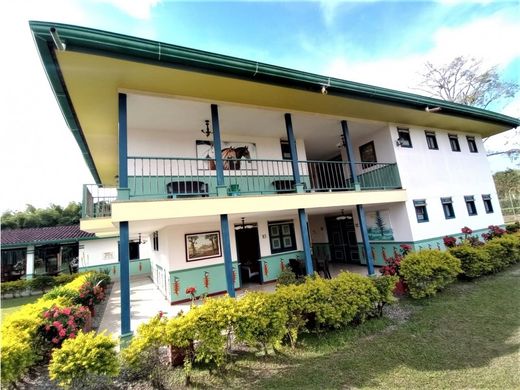 전원/농가 / Quimbaya, Quindío Department