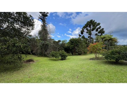 地皮  Rionegro, Departamento de Antioquia