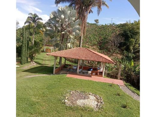 Сельский Дом, Manizales, Departamento de Caldas