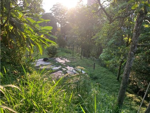 Land in Medellín, Departamento de Antioquia