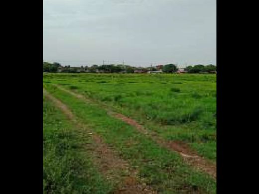 Villavicencio, Departamento del Metaの土地