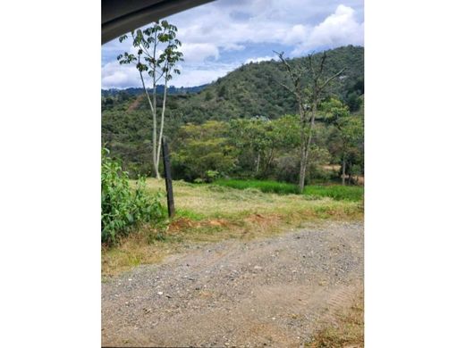 Terreno - Rionegro, Departamento de Antioquia