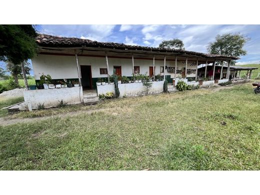 ﻣﻨﺰﻝ ﺭﻳﻔﻲ/ ﺑﻴﺖ ﻤﺰﺭﻋﺔ ﻓﻲ Calarcá, Calarca