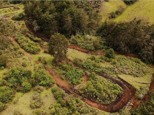 Terrain à Carmen de Viboral, El Carmen de Viboral