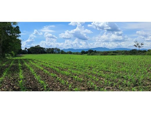 Terreno - Montenegro, Quindío Department