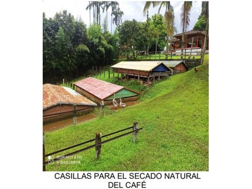 Andes, Departamento de Antioquiaのカントリー風またはファームハウス