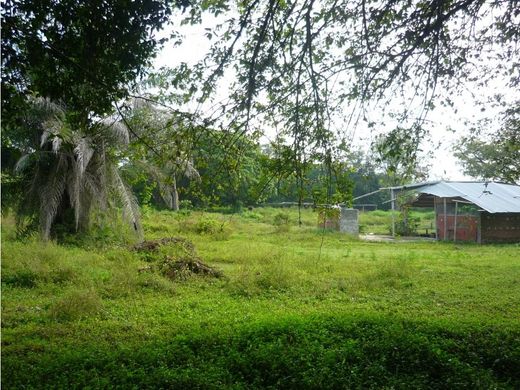 Teren w Cali, Departamento del Valle del Cauca