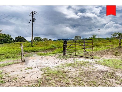 Land in Suárez, Departamento de Tolima