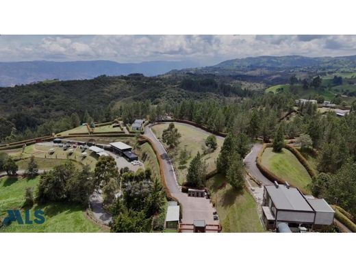 Gospodarstwo w San Jerónimo, Departamento de Antioquia