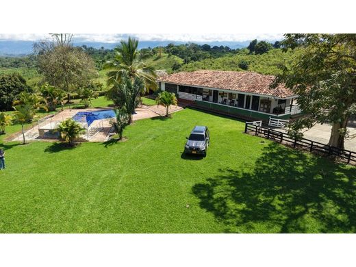 Ferme à Caicedonia, Departamento del Valle del Cauca
